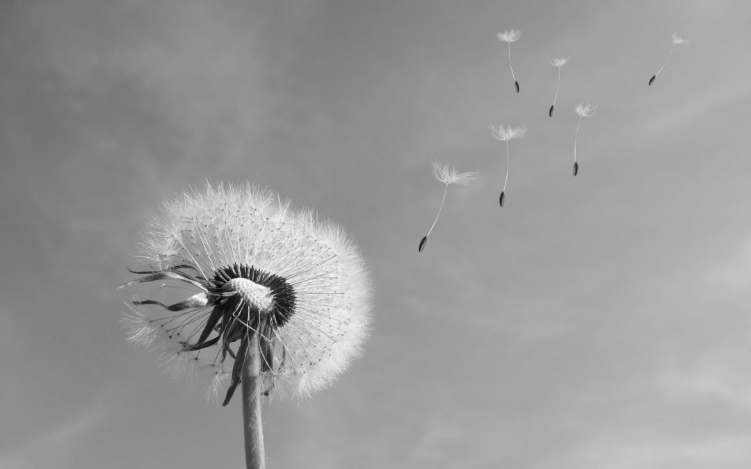 Faire face aux allergies saisonnières