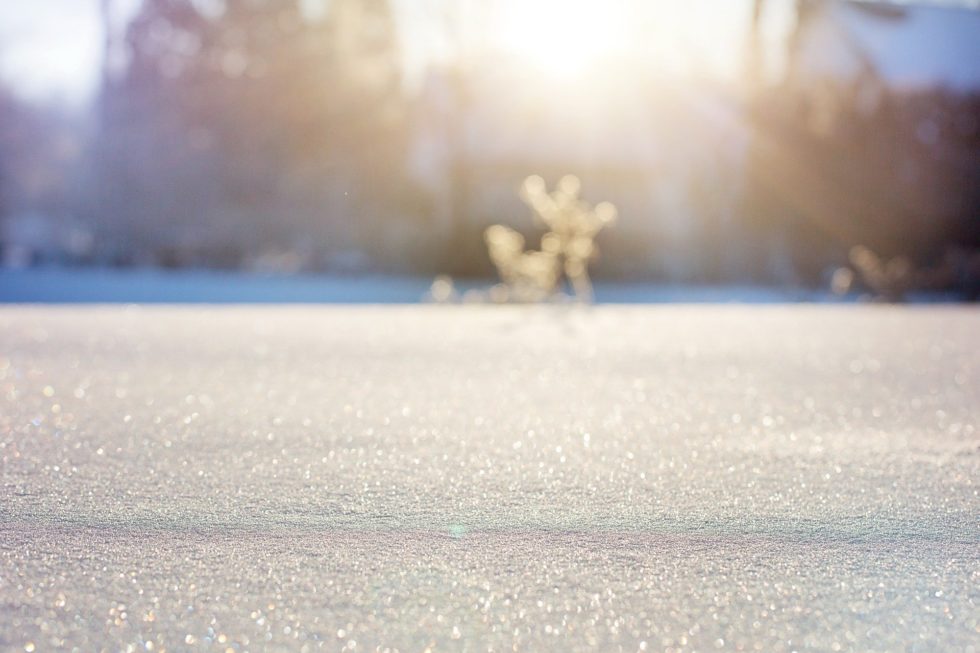 L’hiver et l’immunité